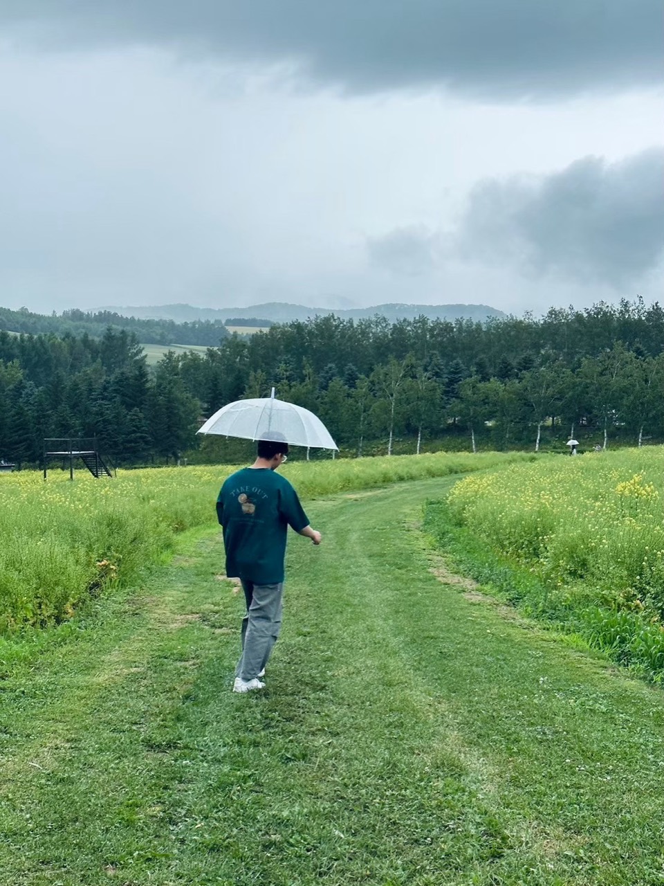 阿穎撐著透明雨傘走在雨中的草原小徑